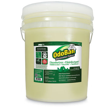 OdoBan® Concentrated Odor Eliminator And Disinfectant, Eucalyptus, 5 Gal Pail freeshipping - TVN Wholesale
